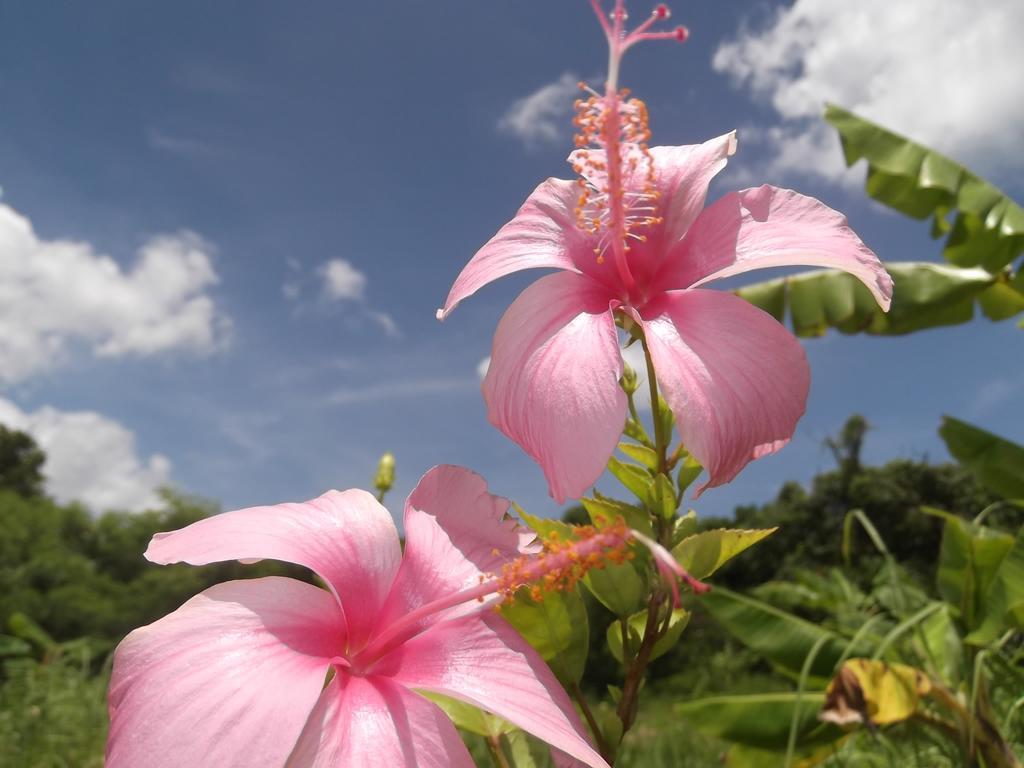 Yoisama Sunrise Beach House Ishigaki  Esterno foto