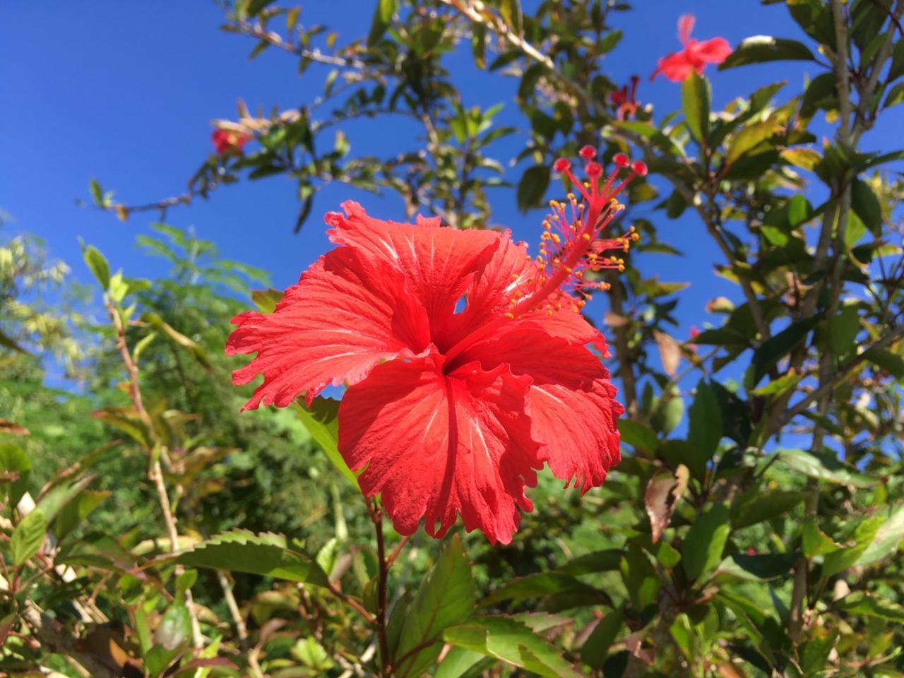 Yoisama Sunrise Beach House Ishigaki  Esterno foto